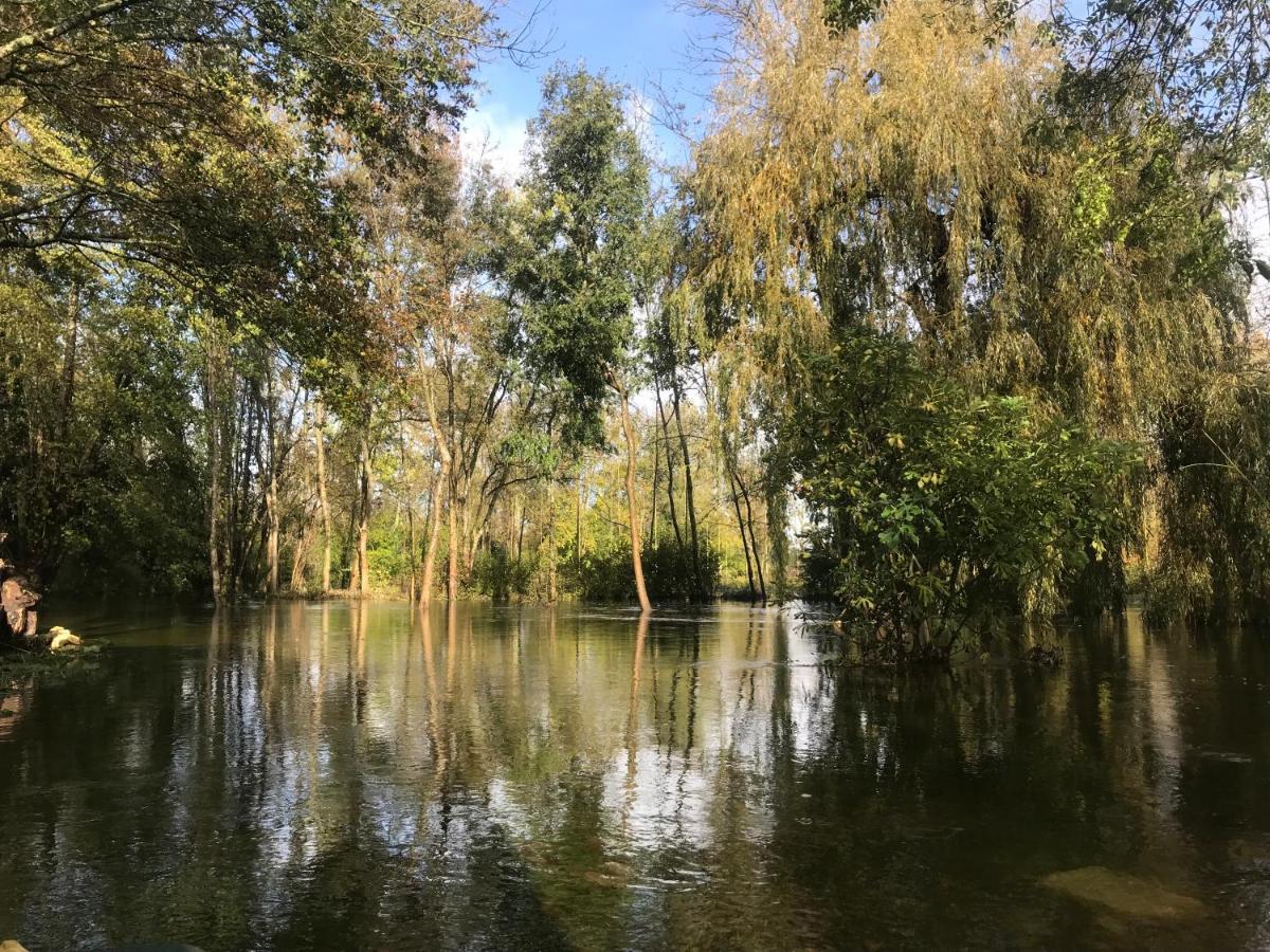 דירות Mosnac  Ancien Moulin A Eau Sur La Seugne מראה חיצוני תמונה